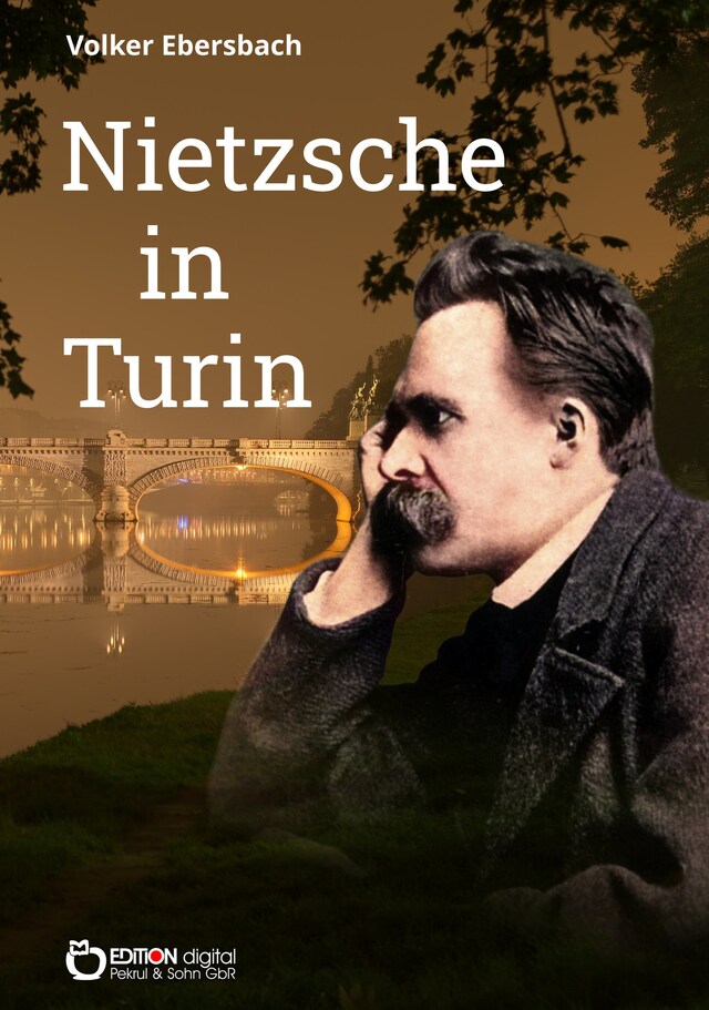 Boekomslag van Nietzsche in Turin