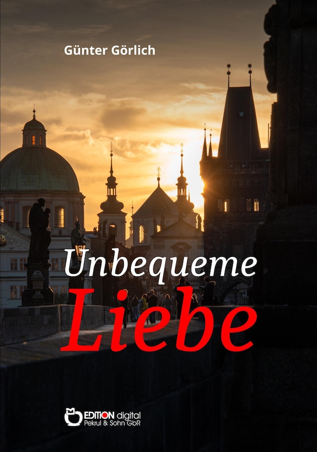 Book cover for Unbequeme Liebe