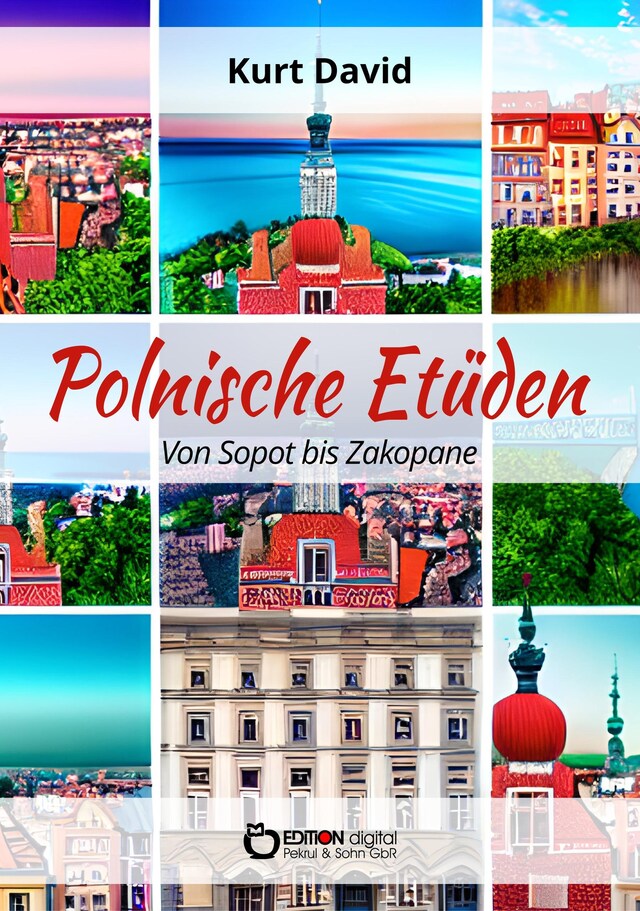 Buchcover für Polnische Etüden