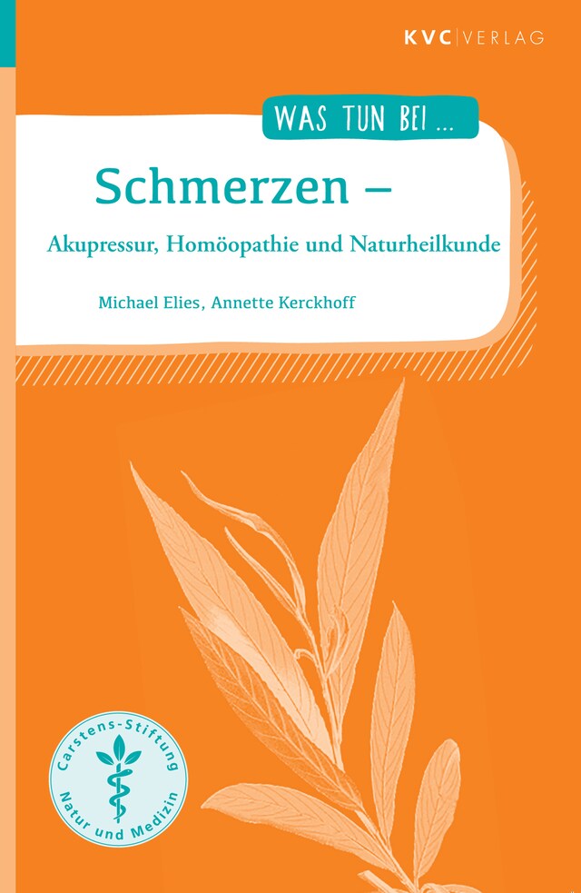 Book cover for Schmerzen