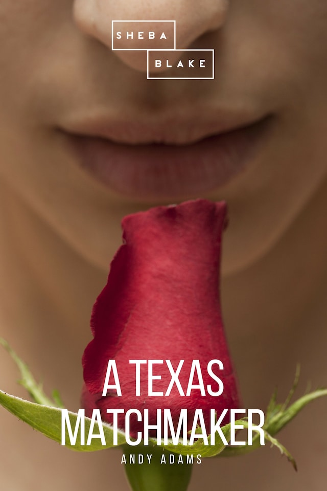 Book cover for A Texas Matchmaker