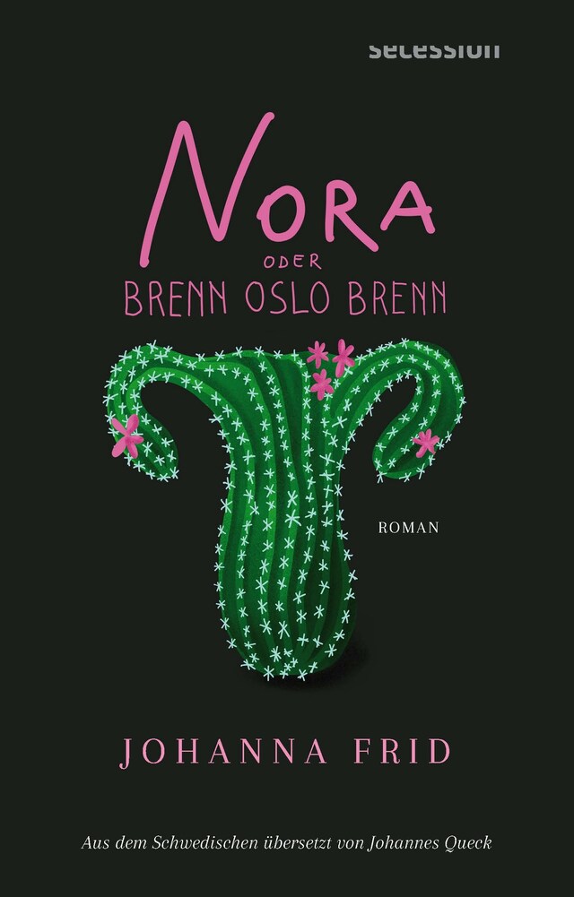 Book cover for Nora oder Brenn Oslo Brenn