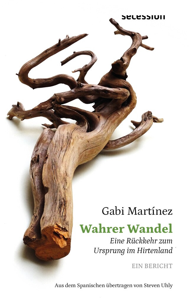 Book cover for Wahrer Wandel