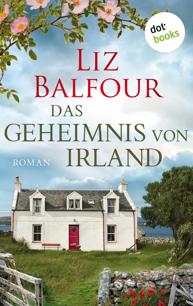 Book cover for Das Geheimnis von Irland - oder: Ich schreib dir sieben Jahre