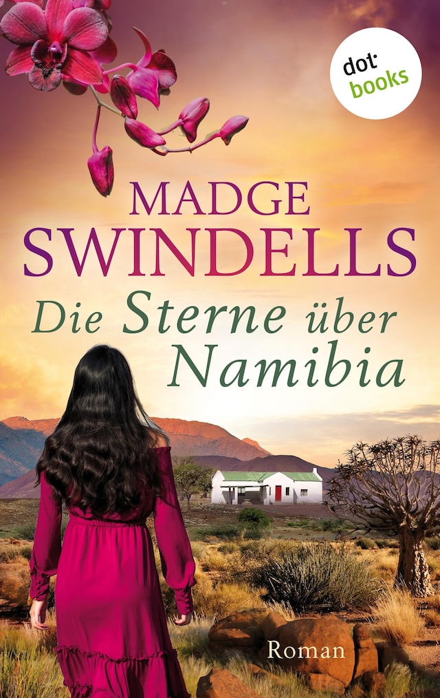 Book cover for Die Sterne über Namibia