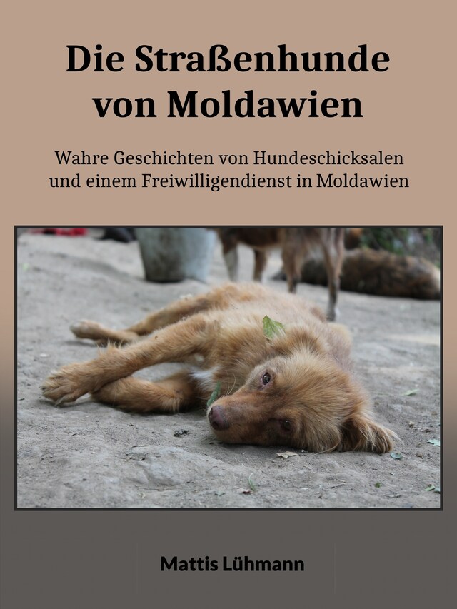 Buchcover für Die Straßenhunde von Moldawien