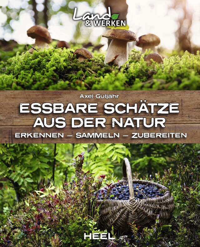 Book cover for Essbare Schätze aus der Natur