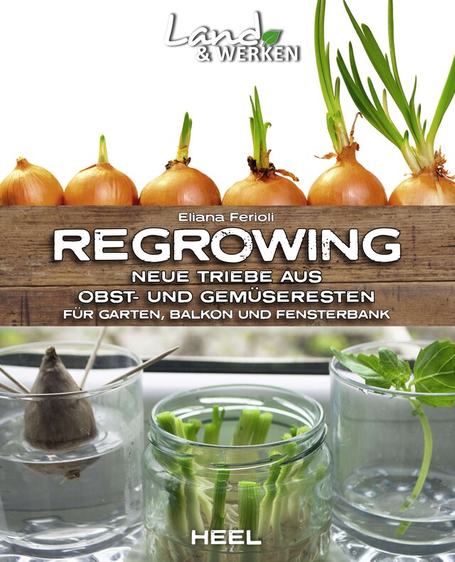 Book cover for Regrowing