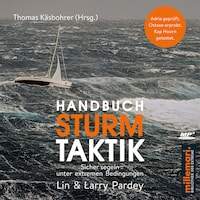 Handbuch Sturmtaktik