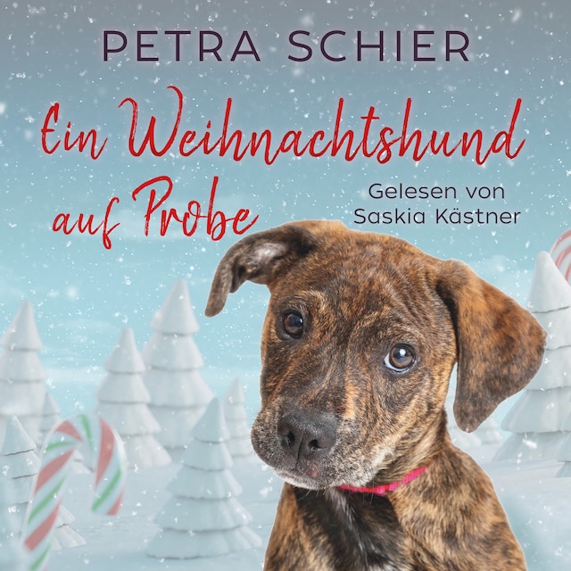 Couverture de livre pour Ein Weihnachtshund auf Probe