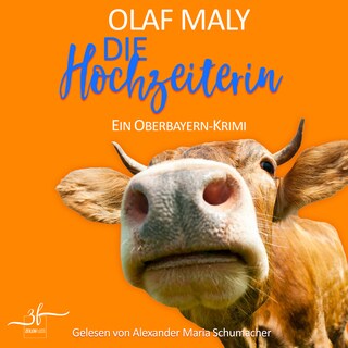 Die Hochzeiterin als Hörbuch