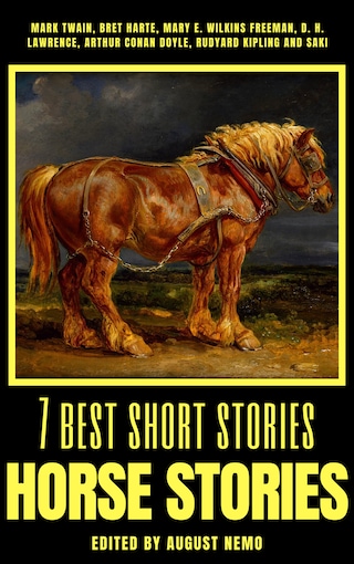 7 best short stories - Horse Stories bookCoverFor
