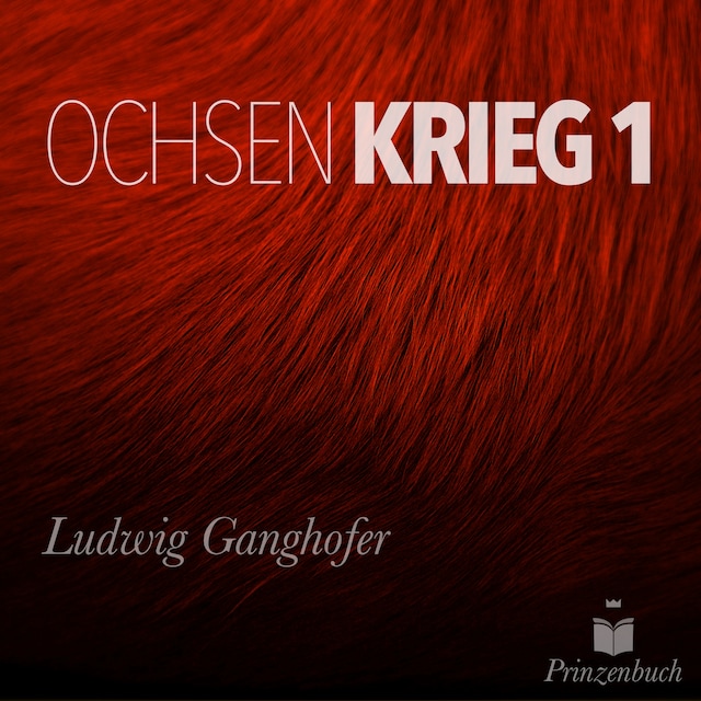 Book cover for Der Ochsenkrieg Band 1