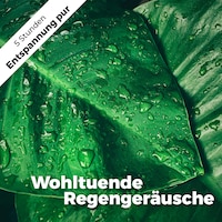 Wohltuende Regengeräusche