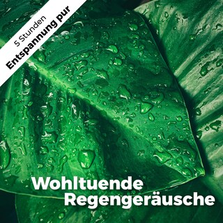 Wohltuende Regengeräusche als Hörbuch