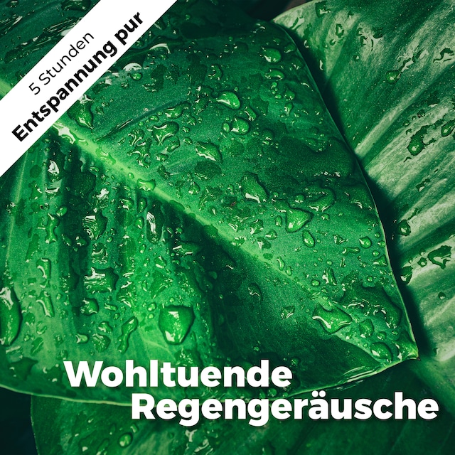 Book cover for Wohltuende Regengeräusche