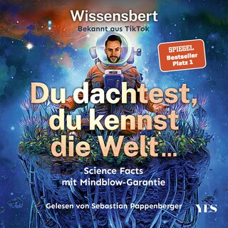 Du dachtest, du kennst die Welt als Hörbuch
