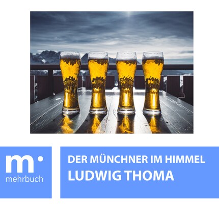 Der Münchner im Himmel bookCoverFor