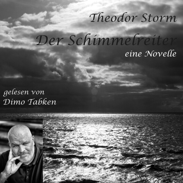 Book cover for Der Schimmelreiter