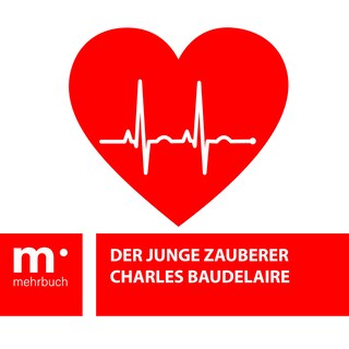 Der junge Zauberer bookCoverFor