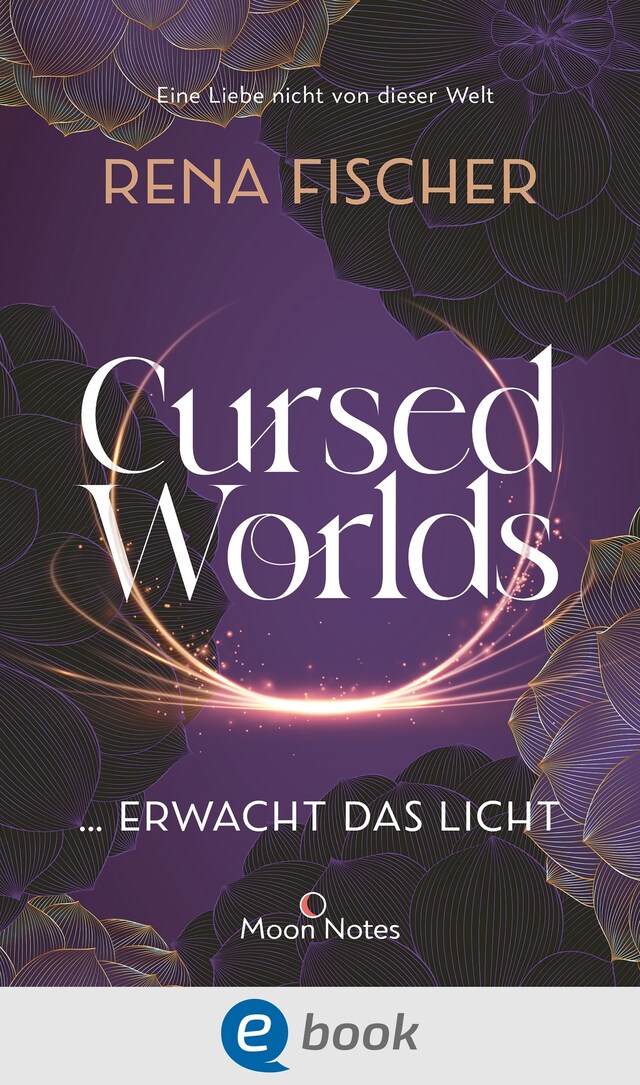 Okładka książki dla Cursed Worlds 2 … erwacht das Licht