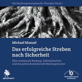 Das erfolgreiche Streben nach Sicherheit als Hörbuch