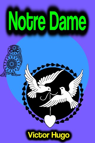 Notre Dame bookCoverFor