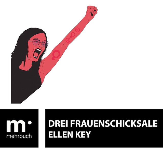 Book cover for Drei Frauenschicksale