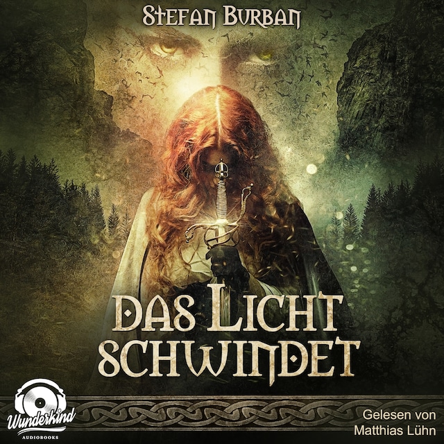 Book cover for Das Licht schwindet