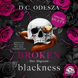 Broken Blackness, Band 4 -  Der Abgrund (Ungekürzt) als Hörbuch