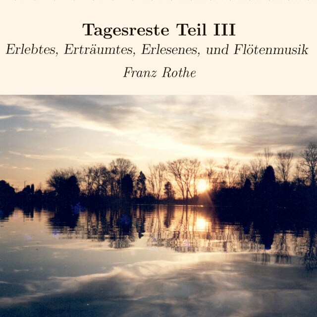 Book cover for Tagesreste Teil III