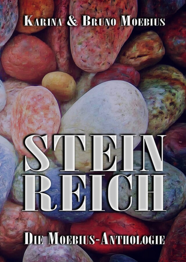 Copertina del libro per Steinreich