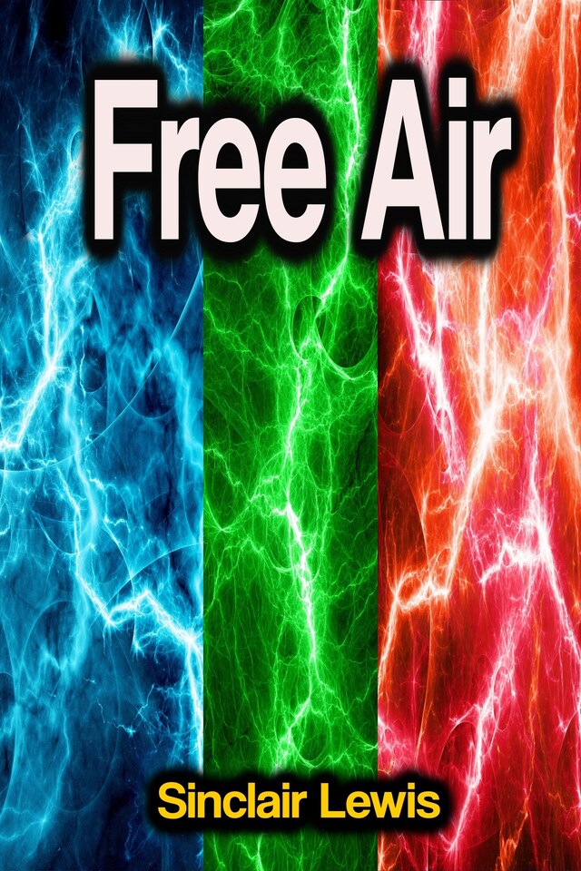 Book cover for Free Air