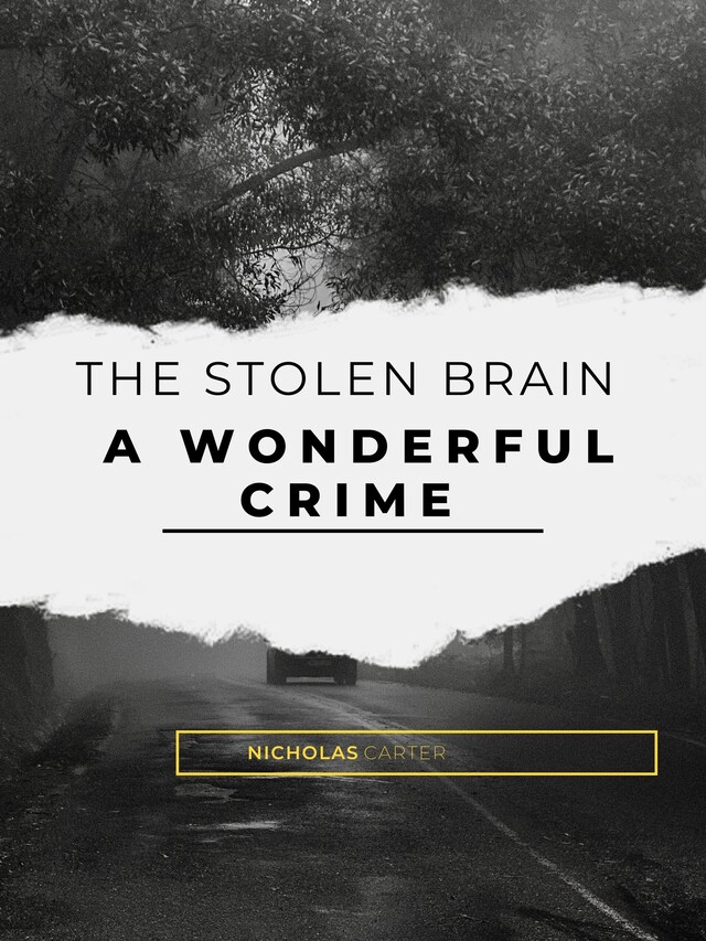 Book cover for The Stolen Brain - A Wonderful Crime