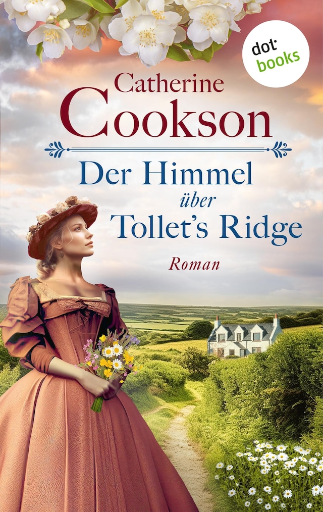 Buchcover für Der Himmel über Tollet’s Ridge