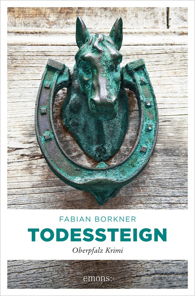 Book cover for Todessteign