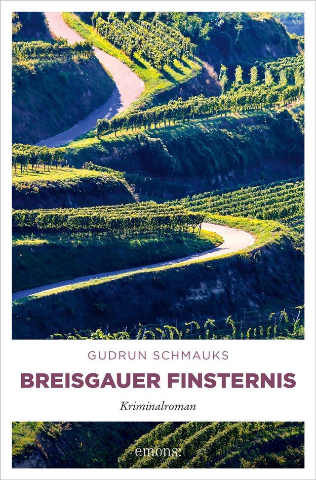 Buchcover für Breisgauer Finsternis