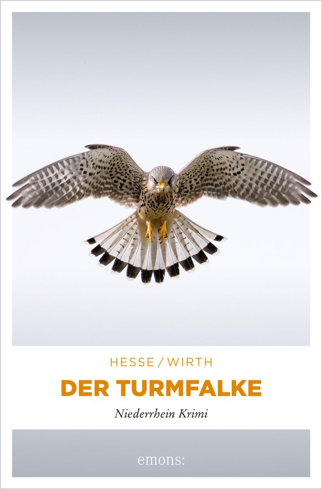 Buchcover für Der Turmfalke