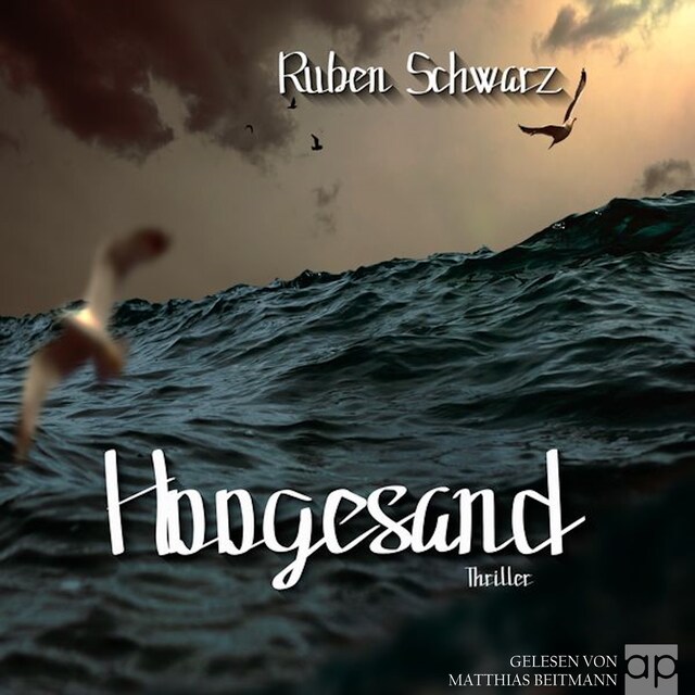 Book cover for Hoogesand