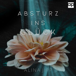 Absturz ins Glück als Hörbuch