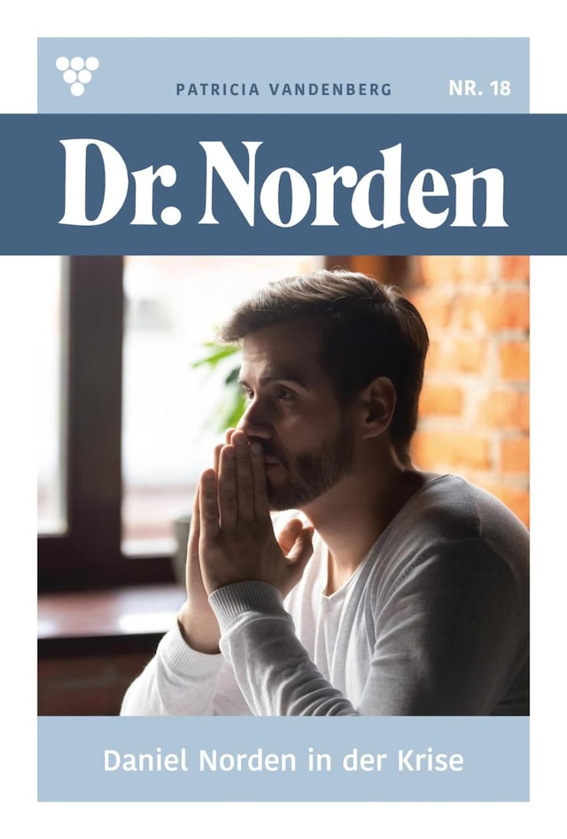 Book cover for Daniel Norden in der Krise