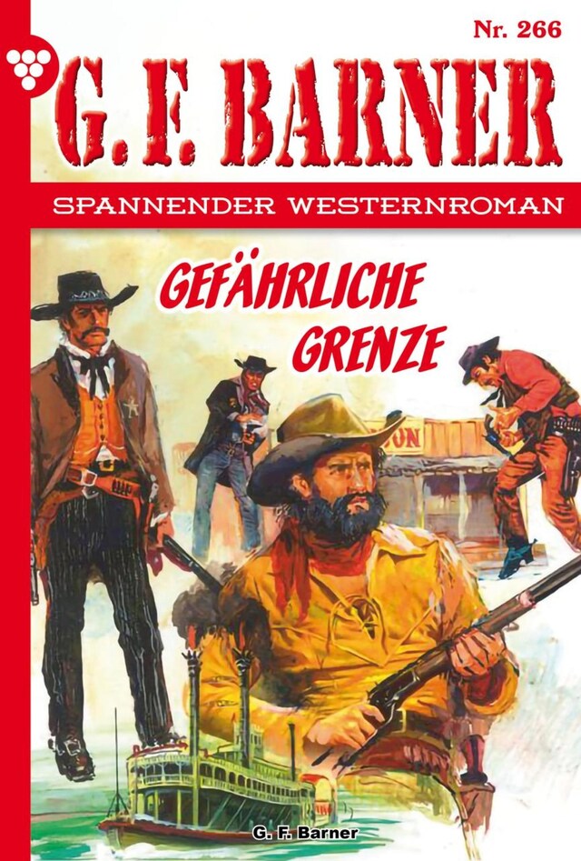 Couverture de livre pour Gefährliche Grenze