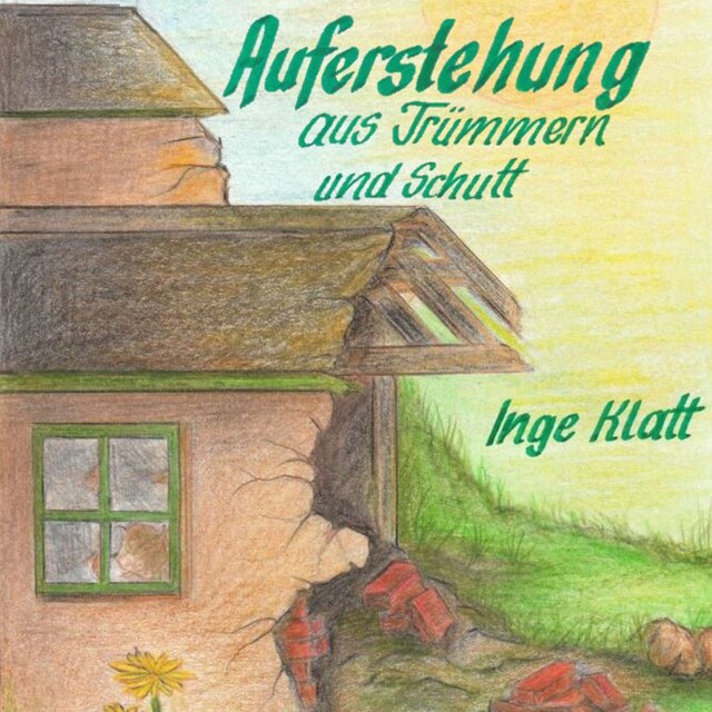 Couverture de livre pour Auferstehung aus Trümmern und Schutt