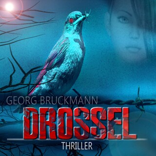 DROSSEL als Hörbuch