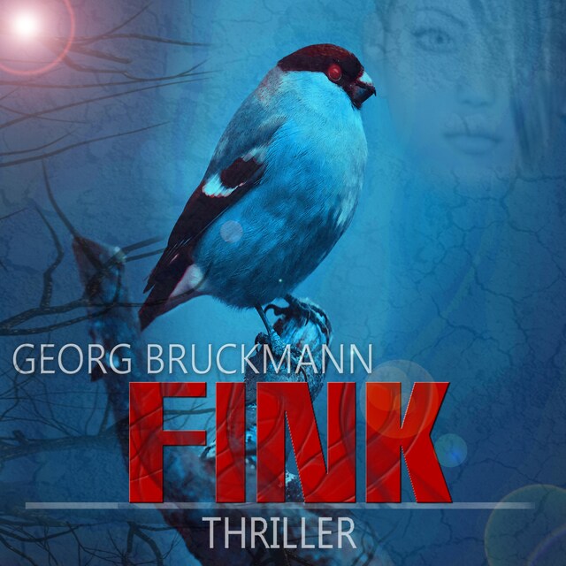 Book cover for FINK