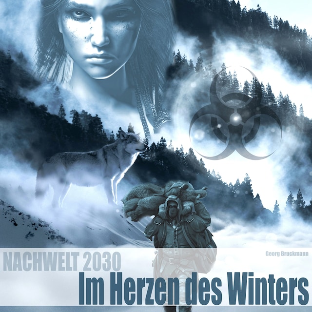Im Herzen des Winters Book cover for Im Herzen des Winters