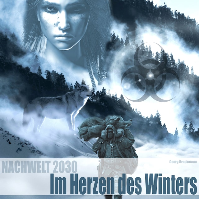 Copertina del libro per Im Herzen des Winters