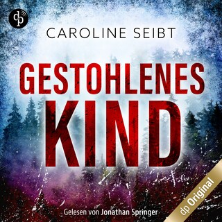 Gestohlenes Kind als Hörbuch