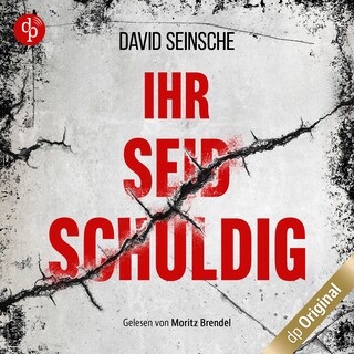 Ihr seid schuldig – Thriller als Hörbuch