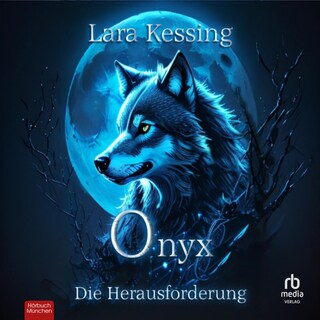 Onyx - Die Herausforderung als Hörbuch